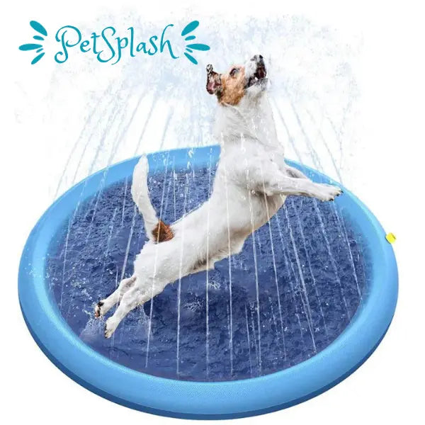 PetSplash™ - Piscina de Verão para Pets