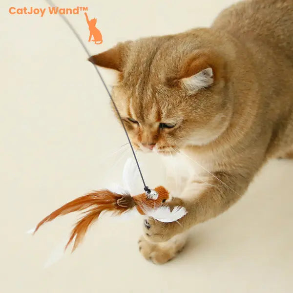 CatJoy Wand™ - Varinha Interativa para Gatos