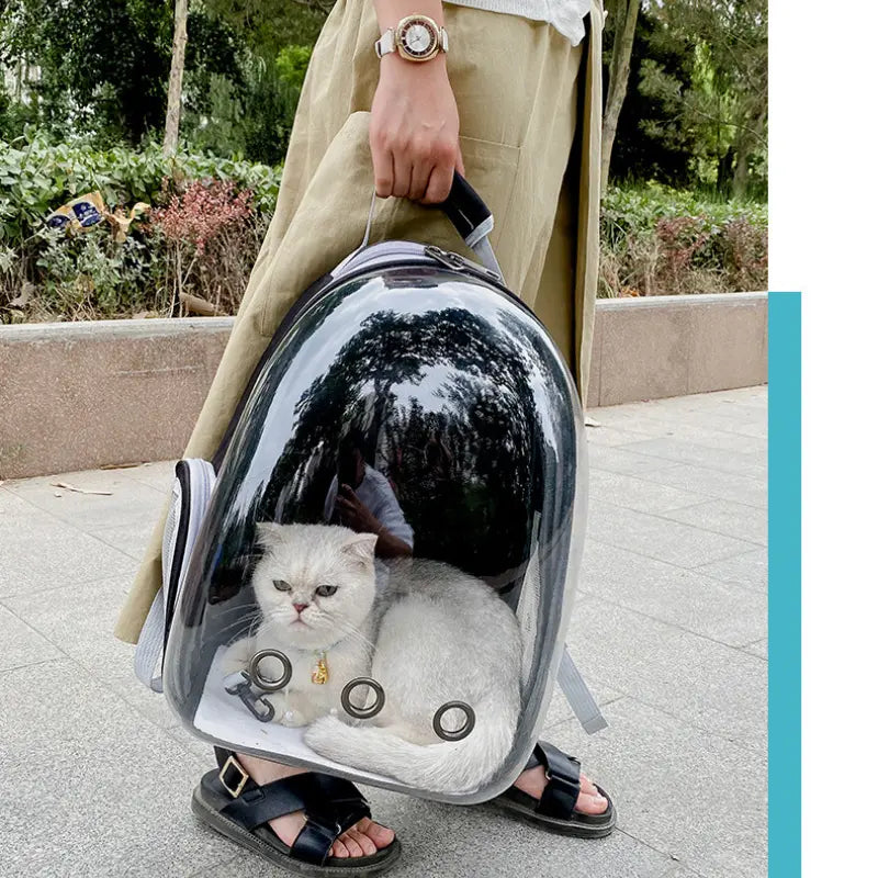 Mochila Pataventura™ - Passeio para cães e gatos