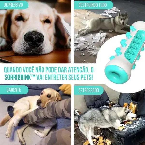 SorriBrink™ - Mordedor para Cães | Elimina Tártaro e Mau Hálito com Eficácia