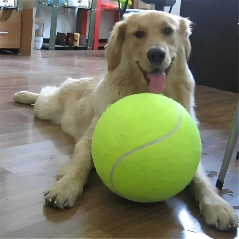 Bola de Tênis Gigante 24cm para Pets ou Autógrafos