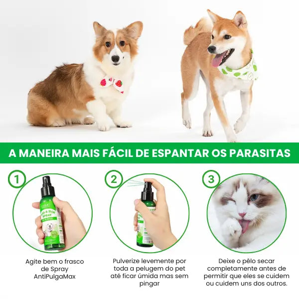 Spray AntiPulgaMax™ - Natural contra Pulgas e Carrapatos