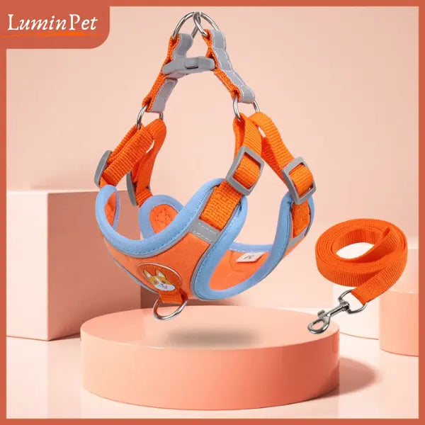 Colete Peitoral LuminPet™ - Elegância e Segurança