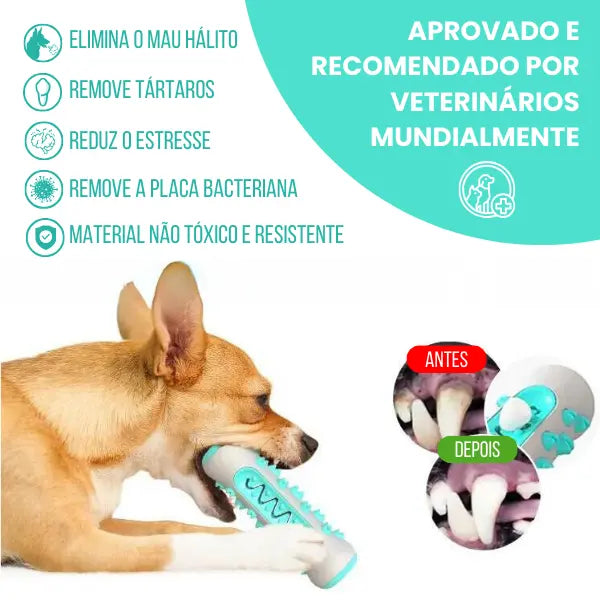 SorriBrink™ - Mordedor para Cães | Elimina Tártaro e Mau Hálito com Eficácia