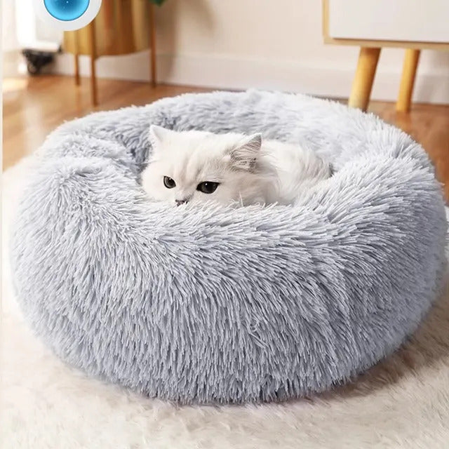 Cama Nuvem Pet - OrtoCloud™