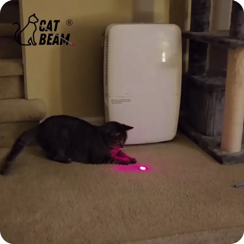 Colar com Laser para Gatos - Catbeam™